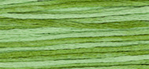 6-Strand Cotton Floss Weeks Dye Works 2176 Meadow