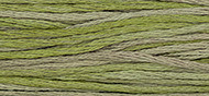 6-Strand Cotton Floss Weeks Dye Works 1256 Thyme
