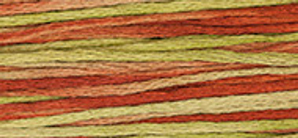 6-Strand Cotton Floss Weeks Dye Works 4155 Tobacco Road