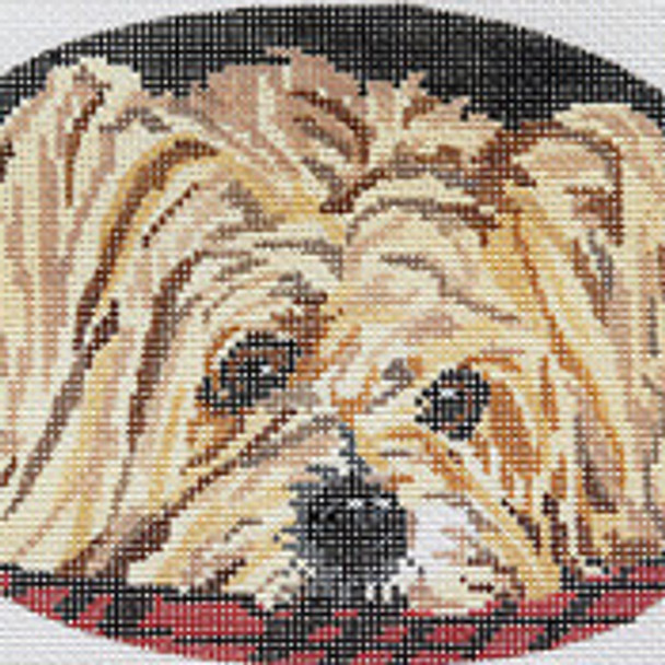 BR098 Silky Terrier Oval 6 1⁄4” x 4 1⁄2” 18 Mesh Barbara Russell SKU 5150