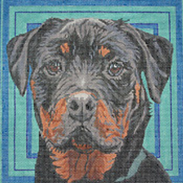 BR205 Rottweiler Head 12” x 12” 12 Mesh  Barbara Russell SKU 5196