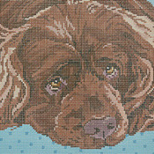 BR403 Sussex Spaniel 10” x 14” 13 Mesh Barbara Russell SKU 53852