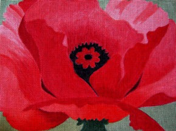 12675 CWD-M1* O'Keefe Poppy* 11 x 12 18 Mesh Stitch Painted Changing Women Designs