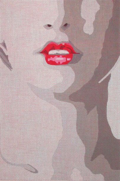 PDG-047 The Point Of It All Sillhouette Red Lips 12 X 12  18 Mesh