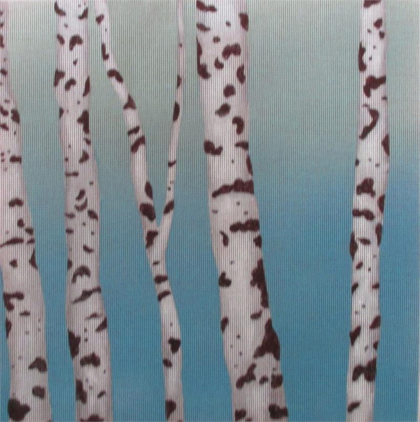 PDG-069 The Point Of It All 5 Birch Trees 11.25 x 11.5 18 Mesh