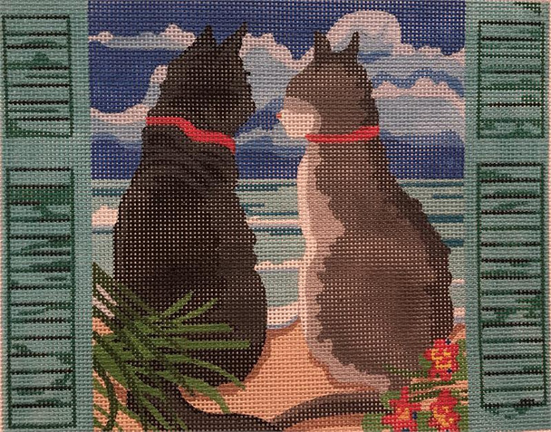 PSE-043 The Point Of It All Cats visiting the Sea 8 x 10  13  Mesh