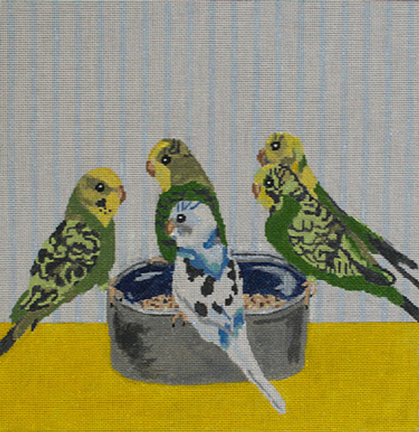 JKNA-040 Pet Store Parakeets 11.5"x 11.5" 18 Mesh Judy Keenan NeedleArts  (Canvas And Thread)