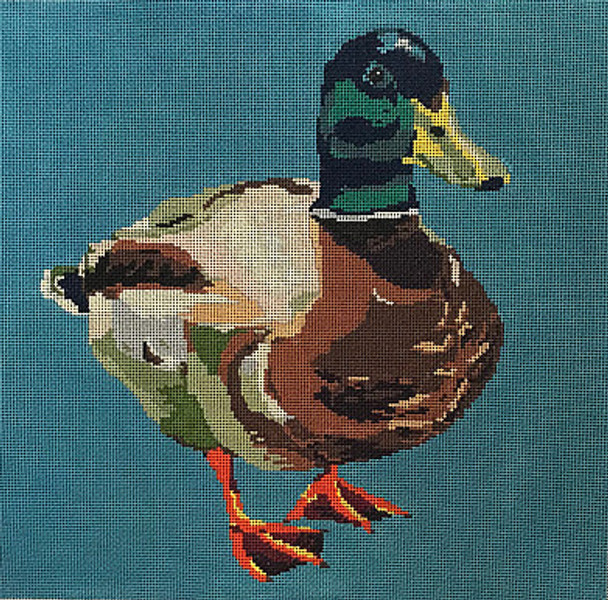 JKNA-070 Male Mallard Duck  14"x14" 13 Mesh Judy Keenan NeedleArts  (Canvas And Thread)