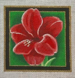 CS09 Christmas Coaster, Amaryllis  4 x 4 18 Mesh Pepperberry Designs