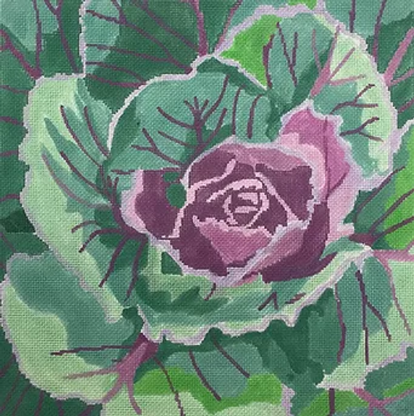 11v Farmers Market Ornamental Cabbage 14" sq.. 13 mesh  Jean Smith Designs