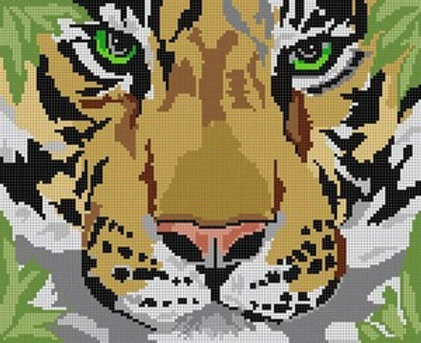 G-689 Tiger Face 13 Mesh 11 x 9 Treglown Designs