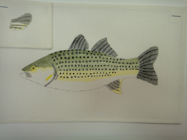 FF Striped Bass FISH OUT OF WATER Mesh The Studio Midwest 