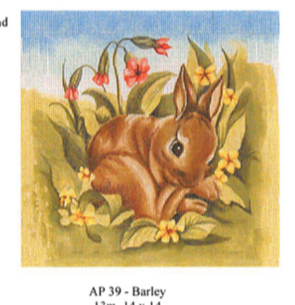 AP39 Barley the Bunny With Shaded Background 14 x 14 13 Mesh CanvasWorks