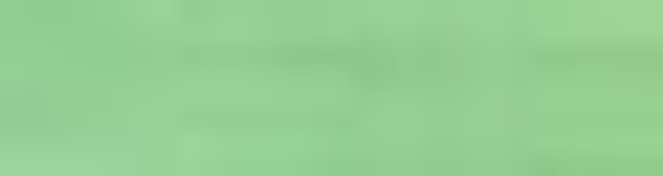 RF20 YLI Mist Green