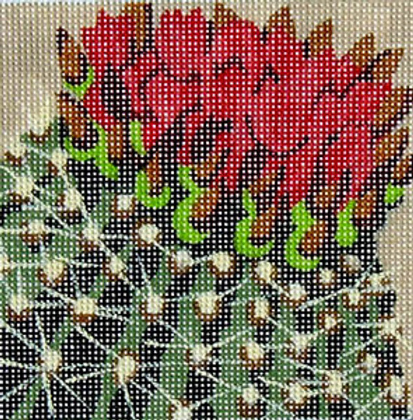 GL-115 Cactus Flowers 4 x 4 With Stitch Guide 18 Mesh GaIL Lang