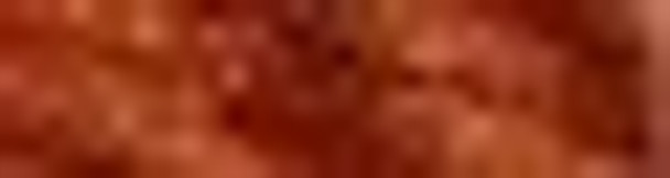Caron Collection Snow 13 Fire Orange Caron Collection Snow 13 Fire Orange
