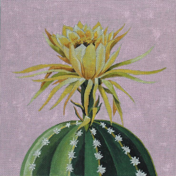 FF328 blooming cactus on pink 14x14 13M Colors of Praise 