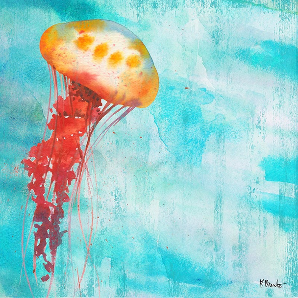 PB17825 - Arianna Jellyfish II  12x12, 18M Paul Brent The Collection Designs