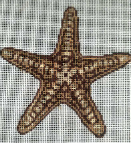 GES164 Beige Starfish 6" x 6" Mesh: 13 Gayla Elliott