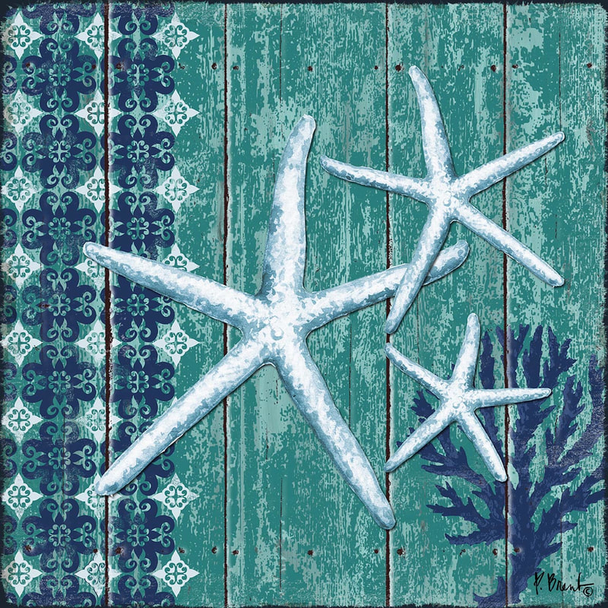 PB14659 Indigo Sea III Starfish 12x12, 18M Paul Brent The Collection Designs