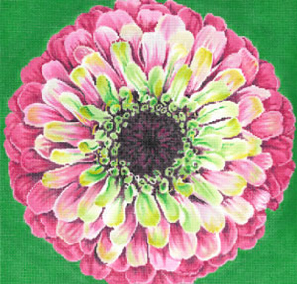 C-594e Grenadine Zinnia/Green Background 11x11 18 Mesh Meredith Collection