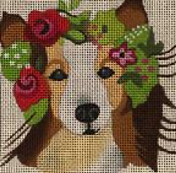 D03 4 x 4 Sheltie/Collie (Flower Girls 18 mesh Melissa Prince