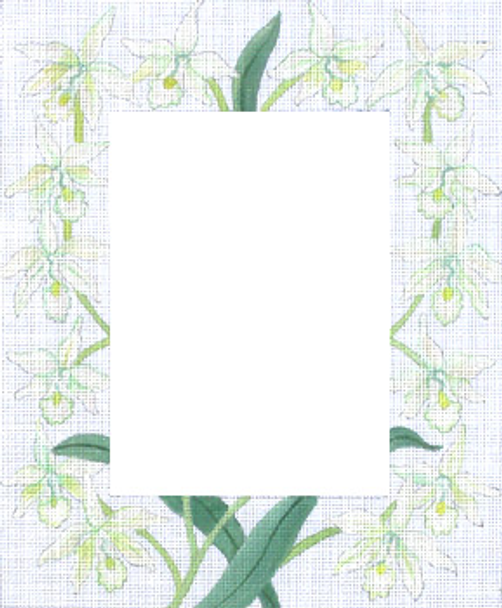 182595 White Orchids (Photo Opening 5x7 13 Mesh JULIE THOMPSON
