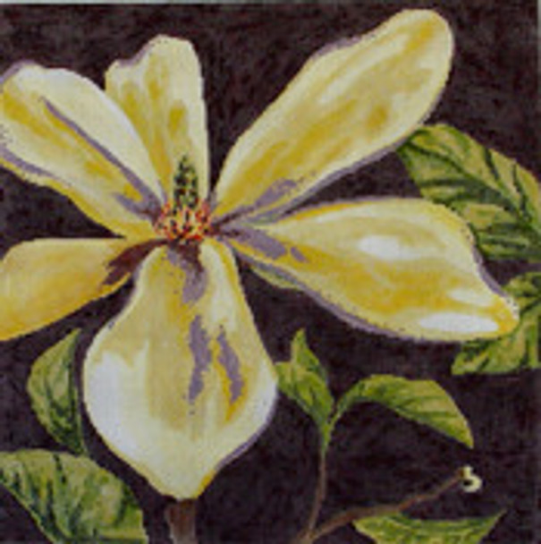 FF151 Magnolia 16x16 13M Colors of Praise