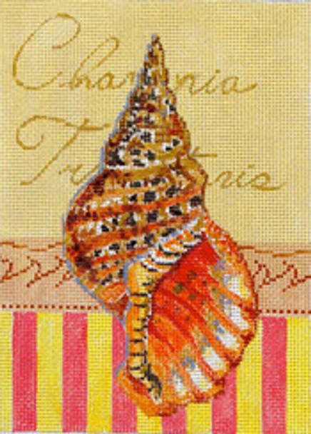 MC256 Seashell Triton's Trumpet   5x7  18M Colors of Praise 