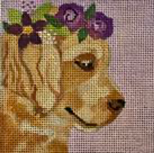 D14 4 X 4 Golden Retriever  Melissa Prince 18 Mesh