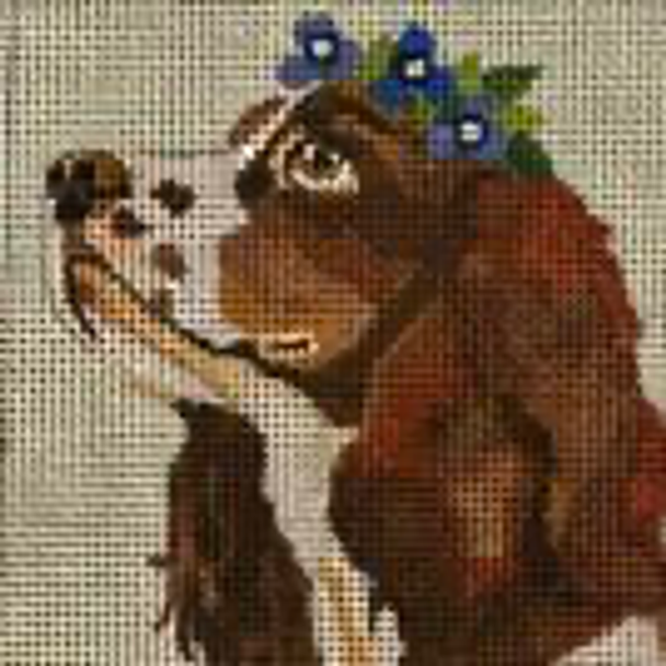 D15 4 x 4 Springer Spaniel  Melissa Prince 18 Mesh