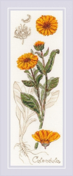 RL1798 Riolis Cross Stitch Kit Calendula 4" x 11.75"; Beige Aida; 18ct 