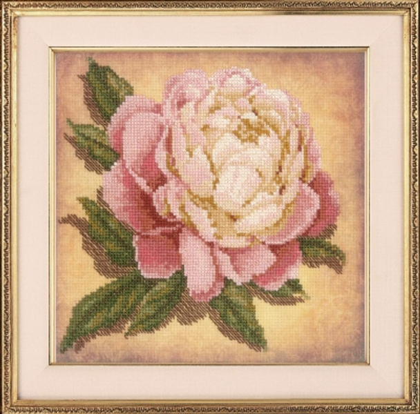 RLPT0071 Riolis Cross Stitch Kit Peony 7.75" x 7.75"; Aida with pre-printed background 