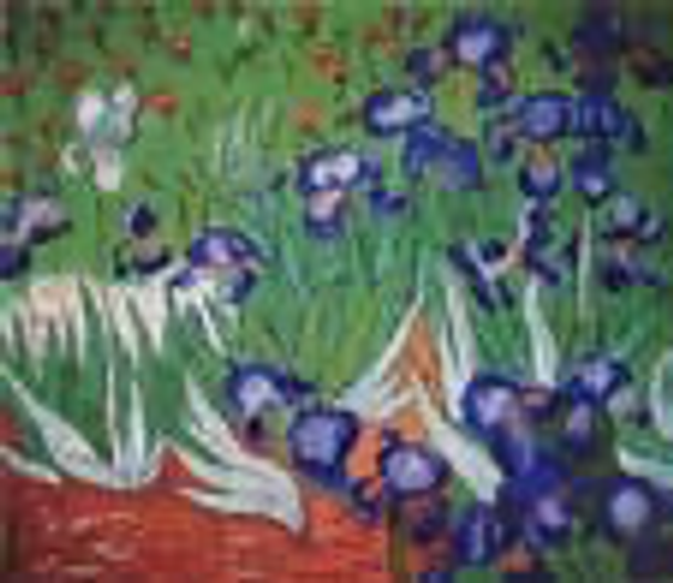 GS1216 Van Gogh Irises MAGIC NEEDLE, INC. 