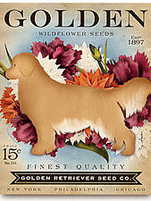 300 Series:  TC-SF-306 9x12 Golden 13 Mesh Tango & Chocolate