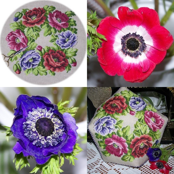 Anémones 171  x 171 Reflets de Soie