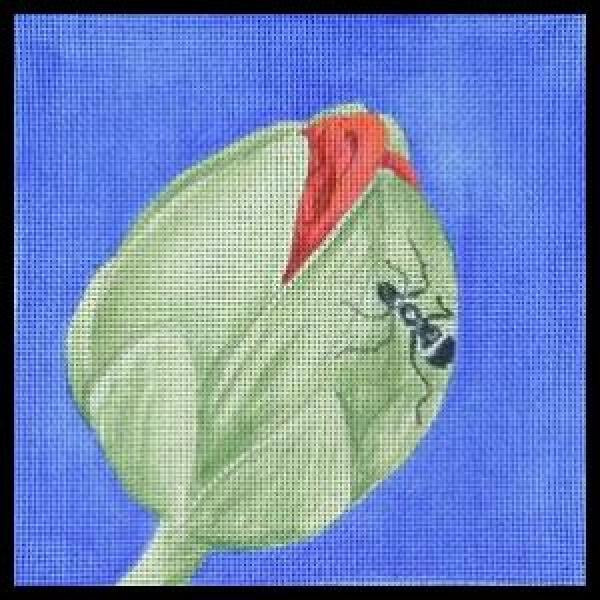 CM211 Budding 6 x 6 18 Mesh DESIGNS BY CHARLOTTE McDONNELL Quail Run Designs