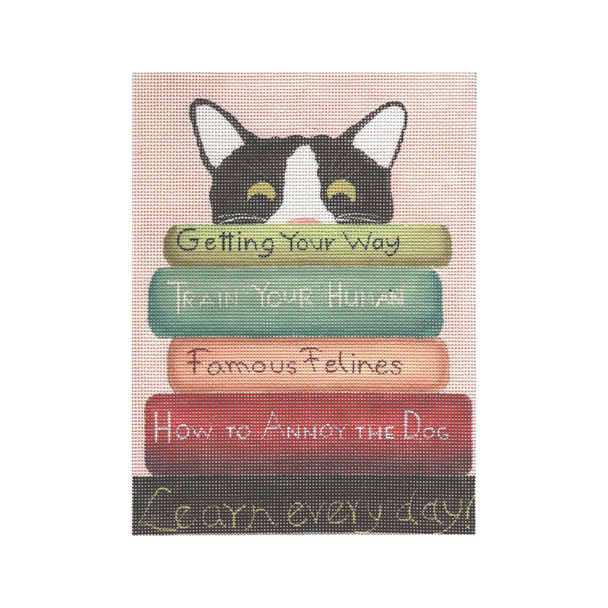 GD-PL 01 Cat with Books 6x8  18 Mesh Ginny Diezel