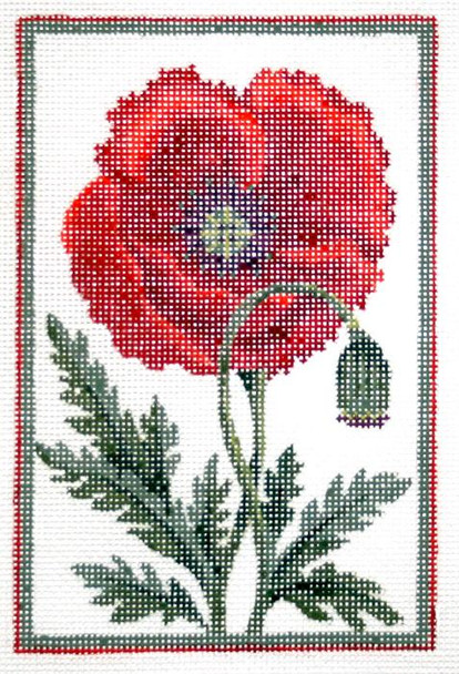 Flower KCN402-18 Belgium Poppy  4"W x 6"H 18 Mesh Kelly Clark Needlepoint