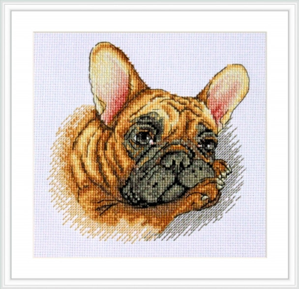 MK114 French Bulldog 5.9"x5.9"; Aida, White; 14 Count Merejka Cross Stitch Kit