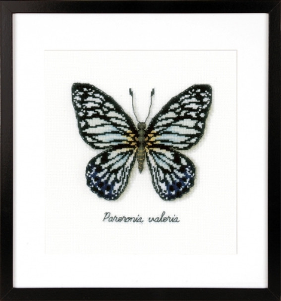 PNV165403 Vervaco Blue Butterfly