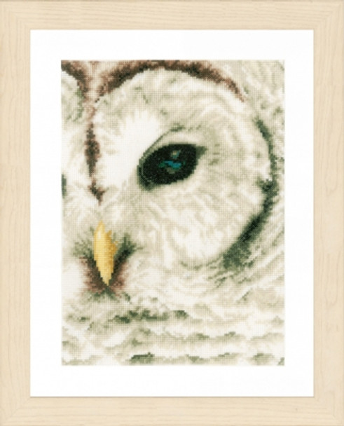 PN163781 Lanarte Kit Owl
