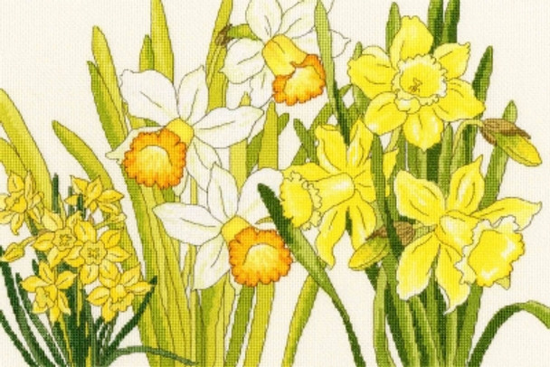 BTXBD10 Daffodil Blooms  Blooms Collection BOTHY THREADS Counted Cross Stitch KIT