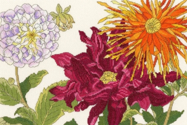 BTXBD11 Dahlia Blooms  Blooms Collection BOTHY THREADS Counted Cross Stitch KIT