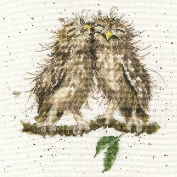 BTXHD36 Birds Of A Feather - Hannah Dale Bothy Threads Counted Cross Stitch KIT