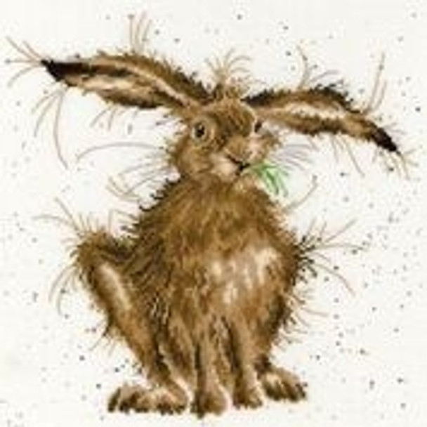 BTXHD49 Hare Brained - Hannah Dale Bothy Threads Counted Cross Stitch KIT