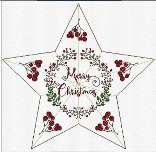 AAN461 Christmas Star Alessandra Adelaide Needleworks