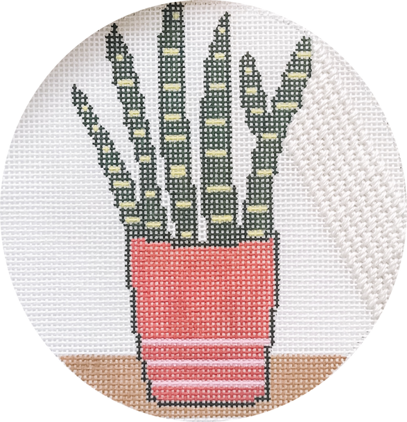 Hello Tess Designs HT82 Solo Snake Plant 4 1/2" Round 18 mesh