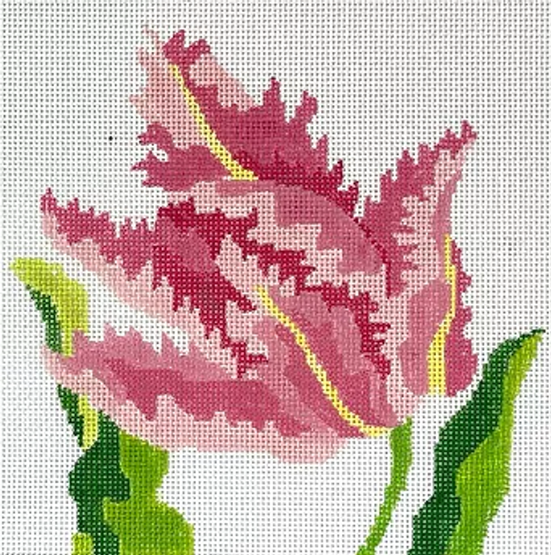 197a PINK PARROT TULIP, 8" sq., 13 mesh Jean Smith Designs