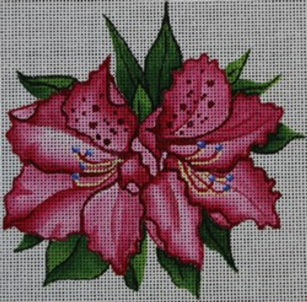R319	5 x 5	Pink Flower		18 Mesh Robbyn's Nest Designs